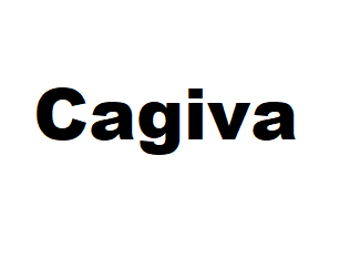 Cagiva Zylinder im Austausch